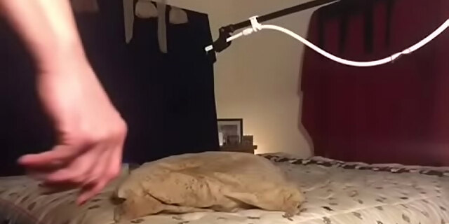 anal,exhibitionist,shower,stockings,