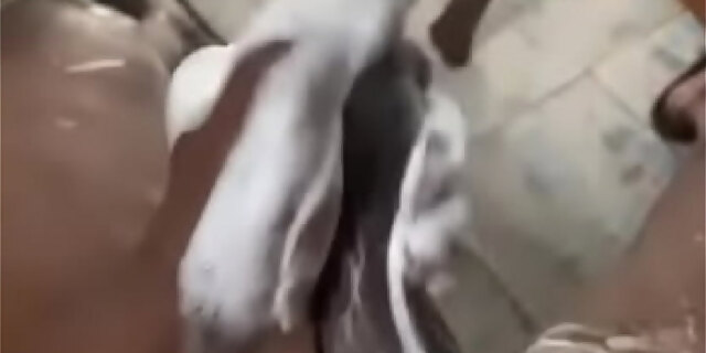 big cock,masturbation,orgasm,