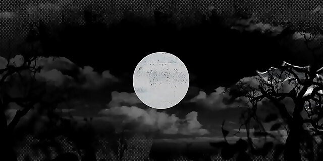 big tits,blowjob,brunette,creampie,hairy,perfect,