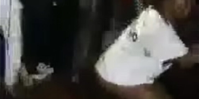 amateur,blowjob,gangbang,