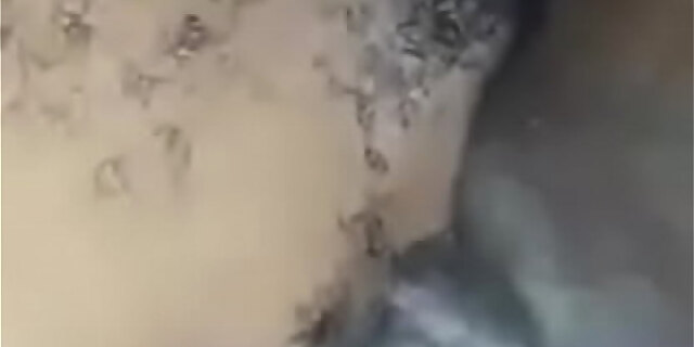 blowjob,femdom,pussy,solo,