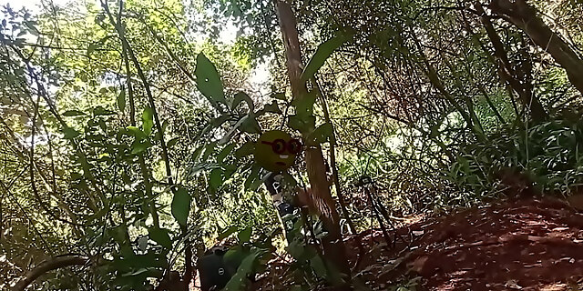 anal,ass,big ass,black,black teen,exotic,gangbang,hardcore,indian,interracial,latina,masturbation,oral,pornstar,teen anal,tight,