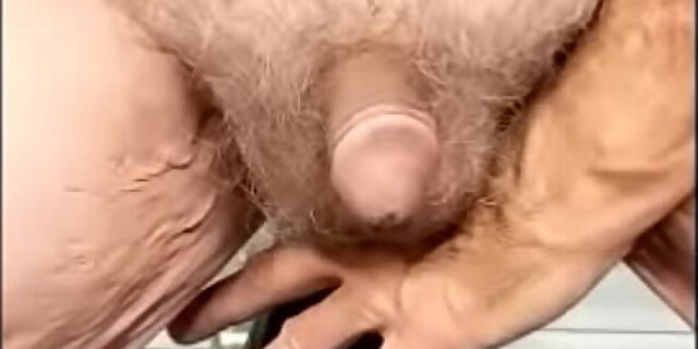 anal,boobs,fake tits,