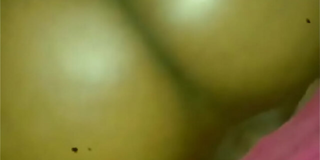 amateur,ass,big ass,big cock,black,blowjob,cumshot,ebony,facial,masturbation,pinky,real,sex,