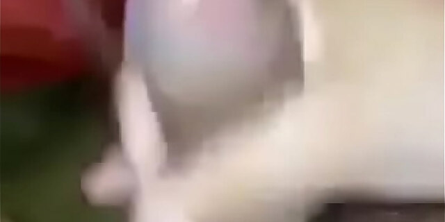 masturbation,