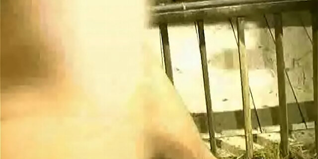 amateur,anal,ass,blowjob,couple,cum,cumshot,french,handjob,