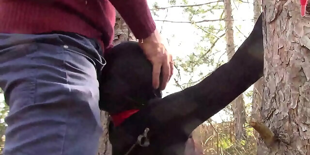 bdsm,blowjob,bondage,creampie,deepthroat,high heels,latina,orgasm,outdoor,petite,public,sex,skinny,stockings,teen,