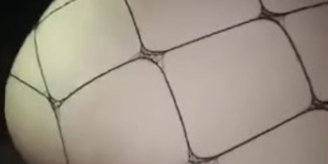 amateur,anal,bbc,big ass,blowjob,brunette,couple,creampie,licking,pussy,spray,teen,