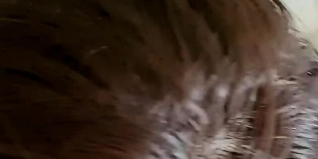 amateur,amateur latina,blowjob,brunette,facial,molten,pov,real,