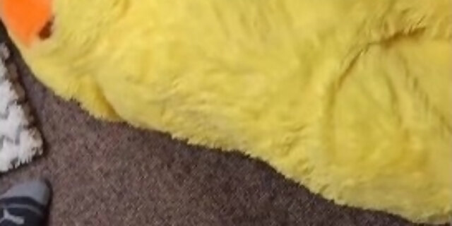 amateur,car,desperate,fetish,pissing,public,solo,
