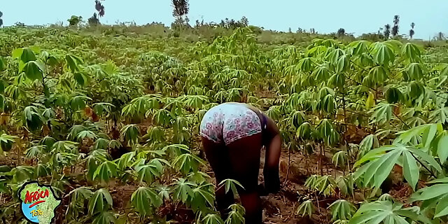 ass,big ass,big cock,big tits,black,blowjob,boobs,doggystyle,femdom,hardcore,molten,pussy,wife,