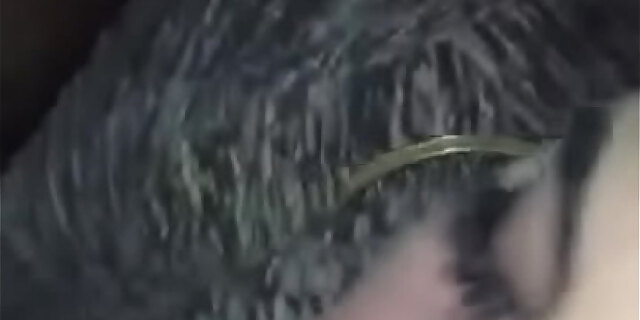 bbc,blonde,blowjob,sister,