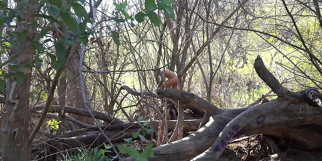 bbc,big tits,blowjob,doggystyle,interracial,outdoor,pussy,