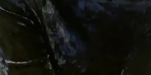 anal,anus,babes,couple,erotic,european,molten,real,sex,story,teen,wife,