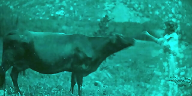 hairy,natural tits,retro,vintage,