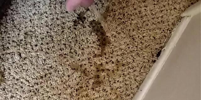 car,dirty,fetish,kinky,pissing,